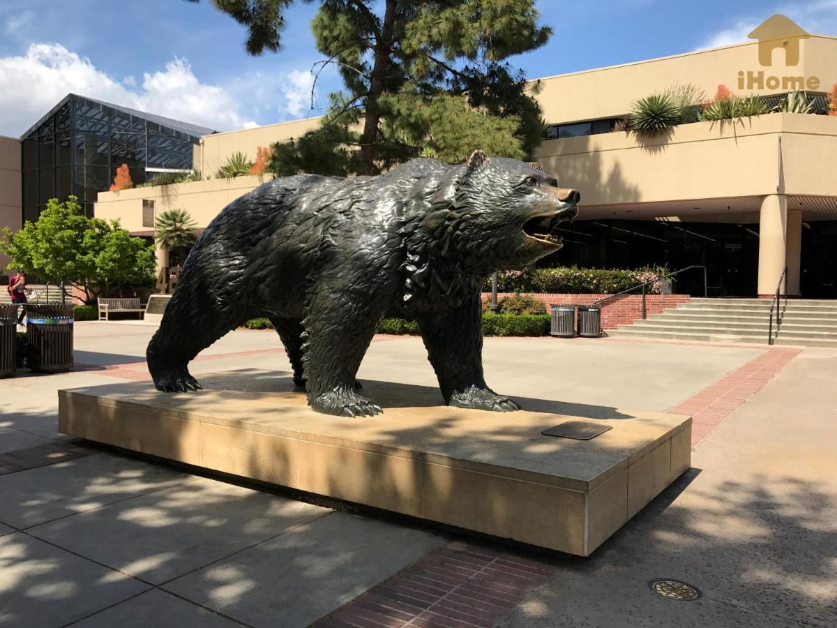 "Resort Style Amenities Walk To Ucla" W Pool & Parking B2 Los Ángeles Exterior foto
